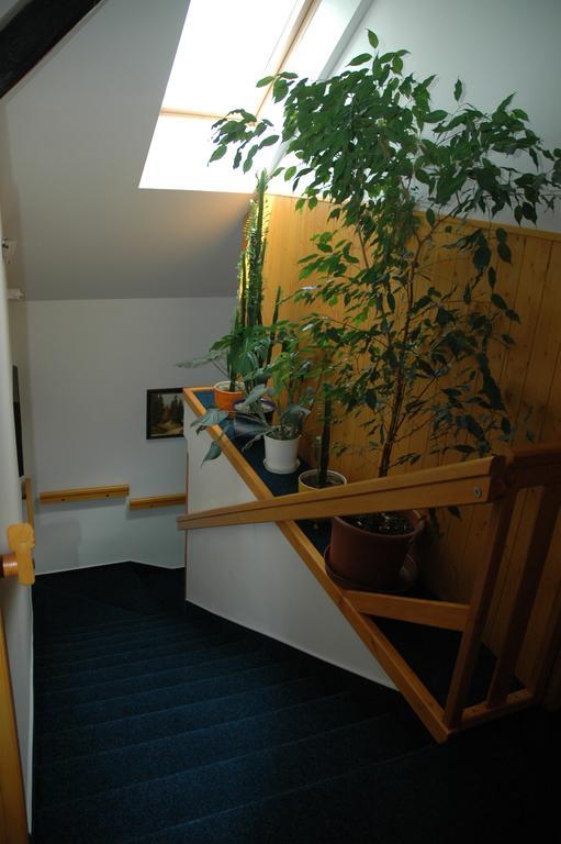 Privat Novac *